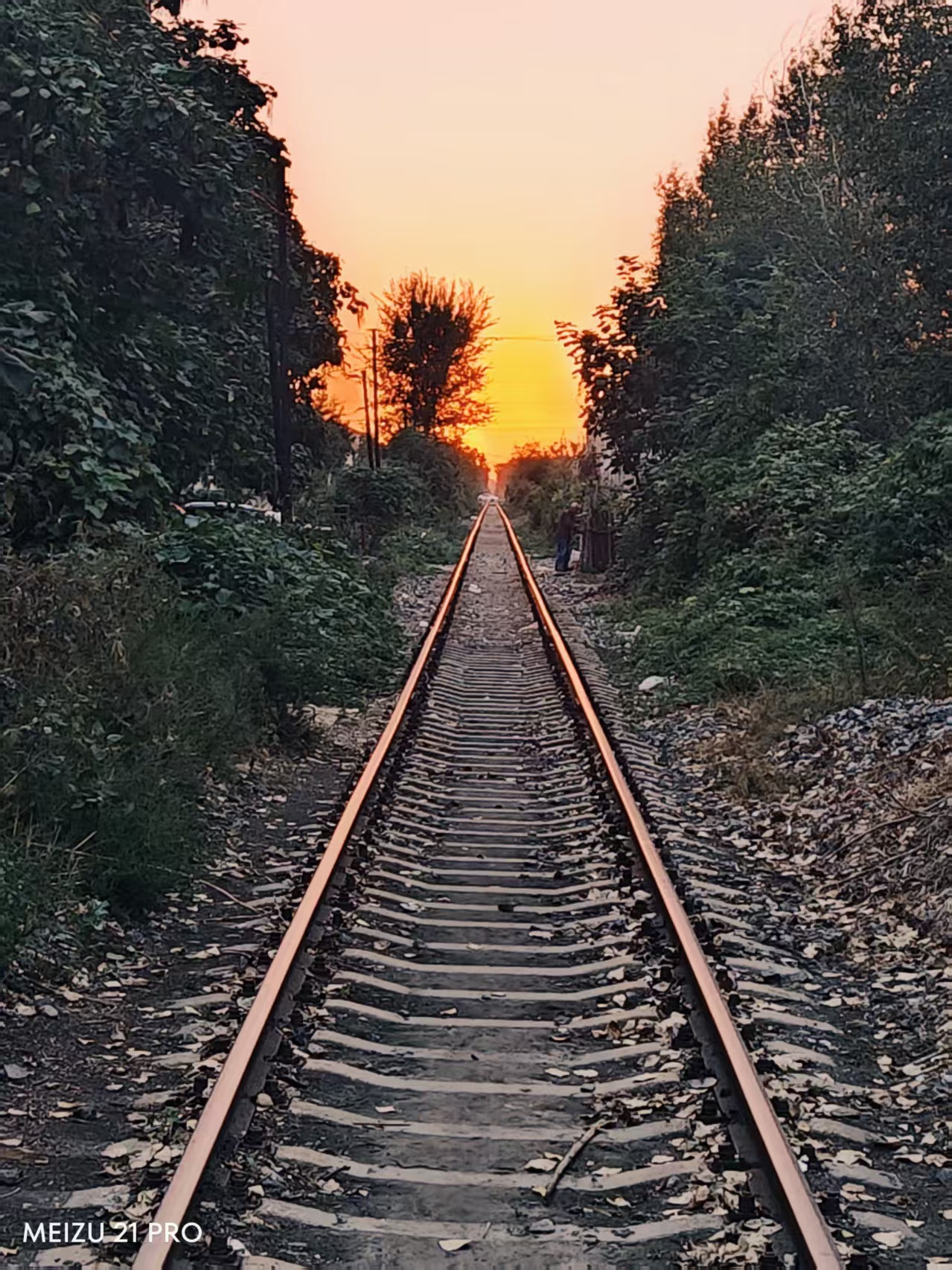 少年心气是不可再生之物